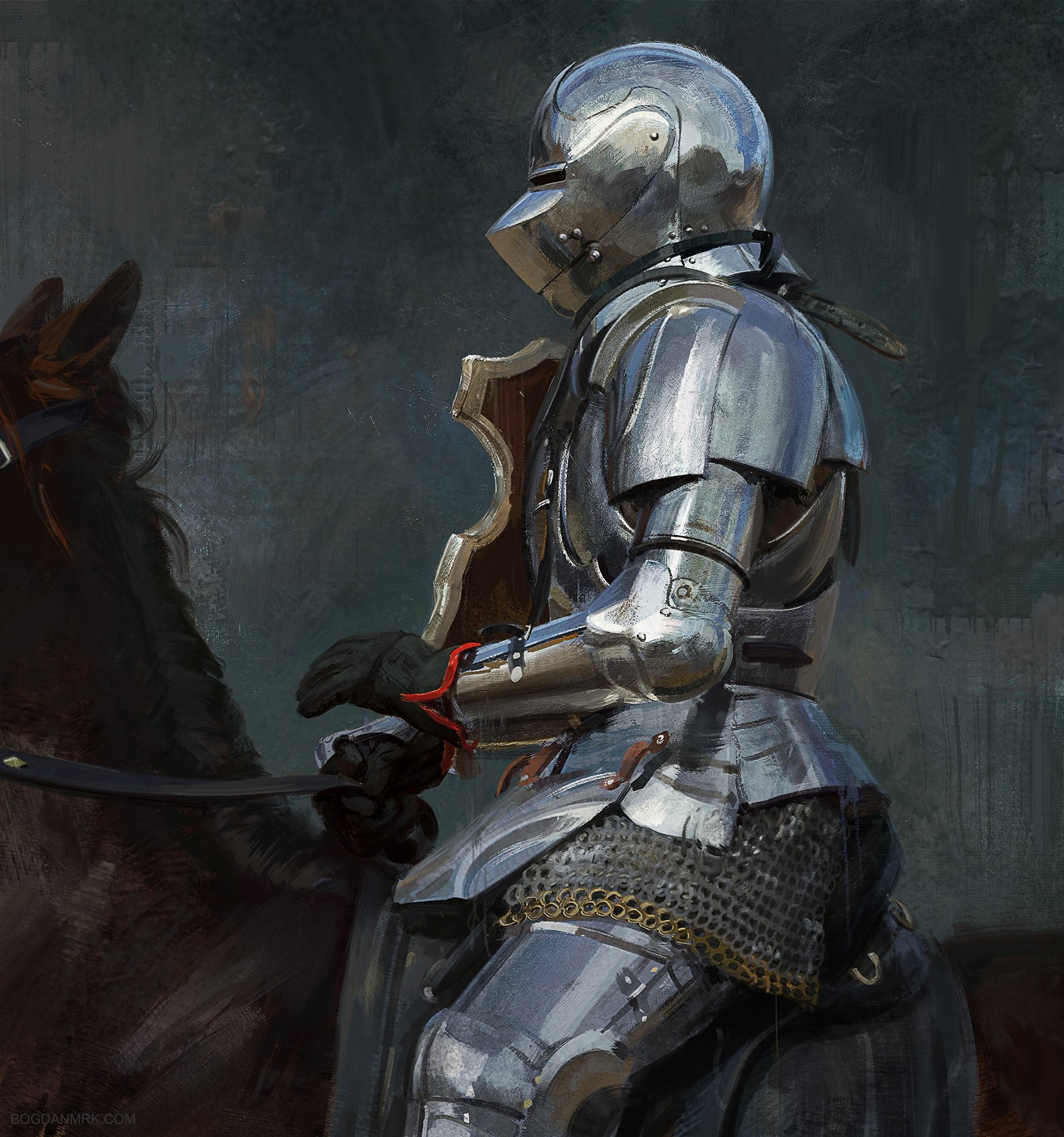 Rider - Art, Drawing, Knight, Bogdan-Mrk, Knights