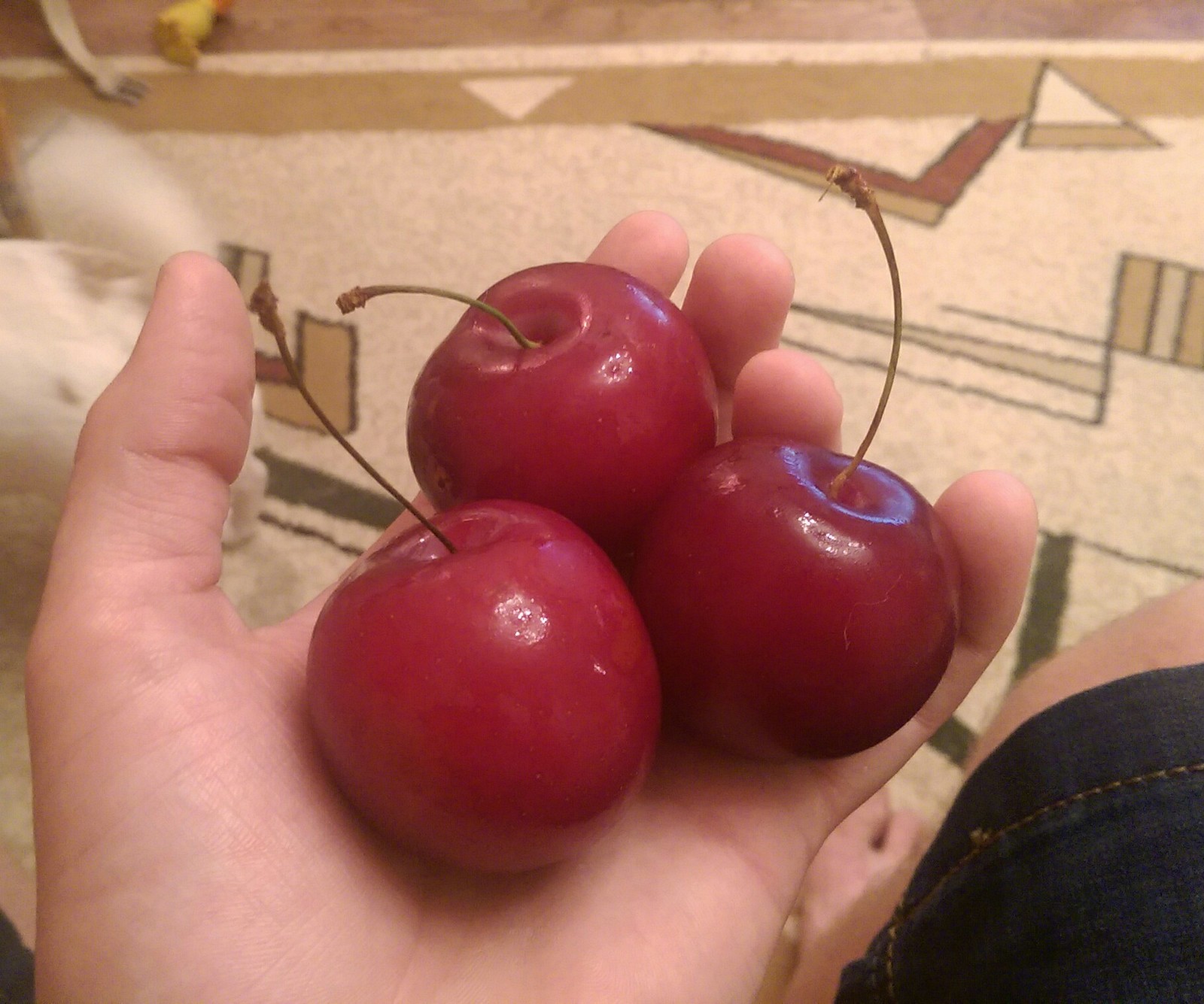 overgrown cherries - My, Berries, Cherries