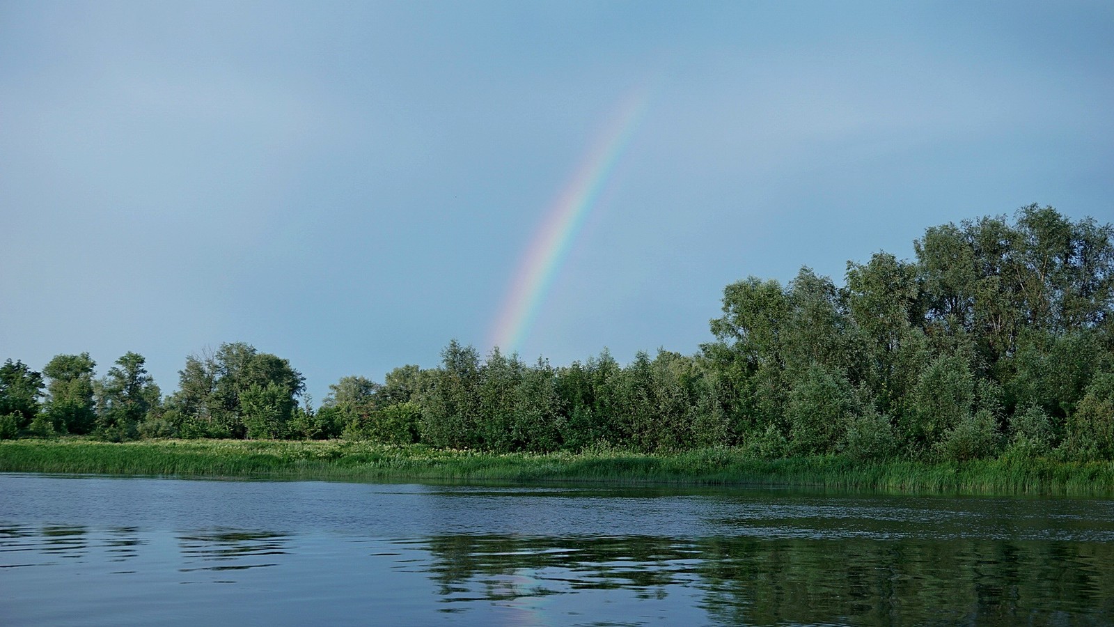 There are days when it is very difficult to catch a fish!!! - My, , , Longpost, Fish perch