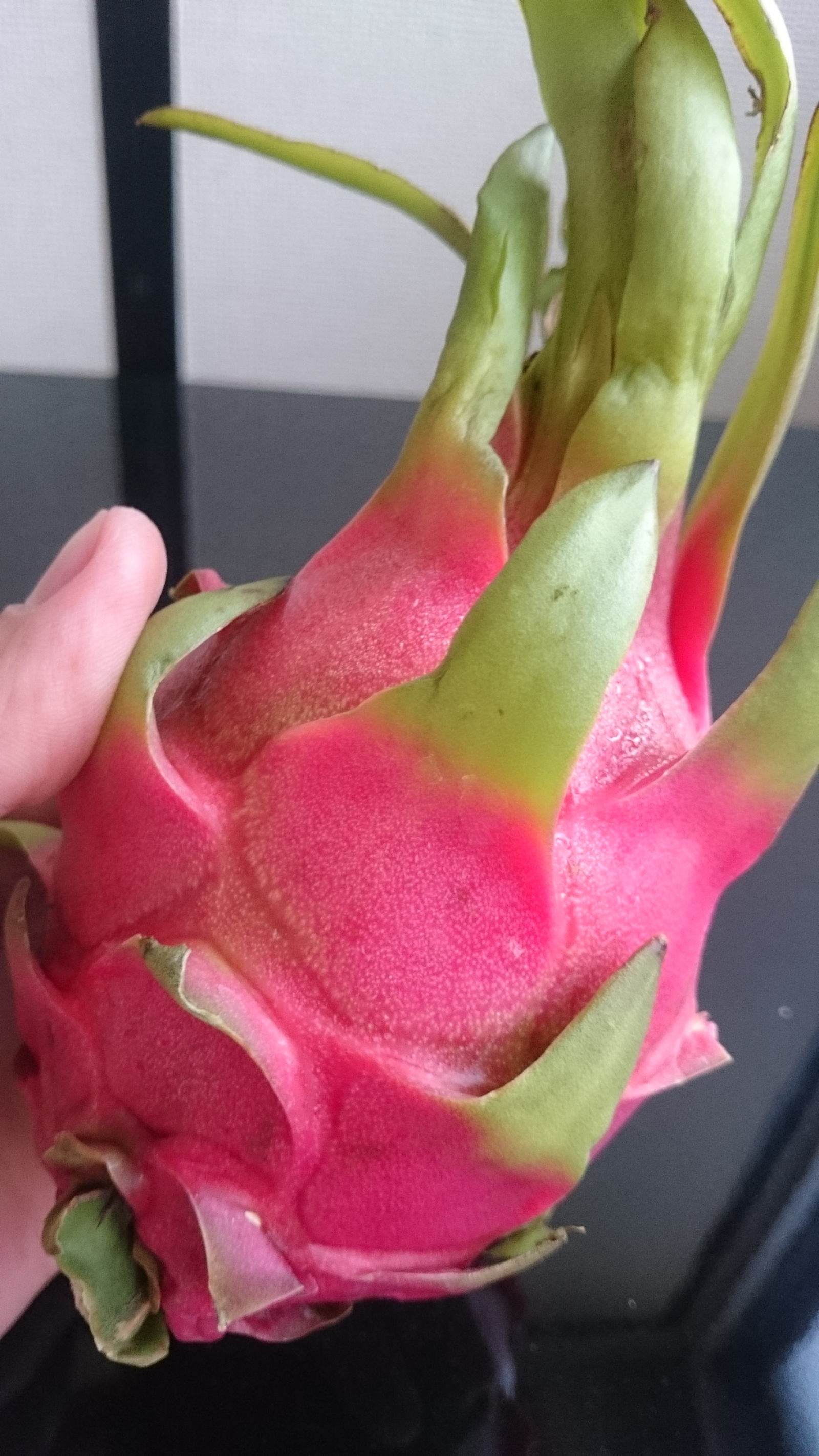 dragon fruit. - My, Pitahaya, Фрукты, Japan, Oddities, Longpost