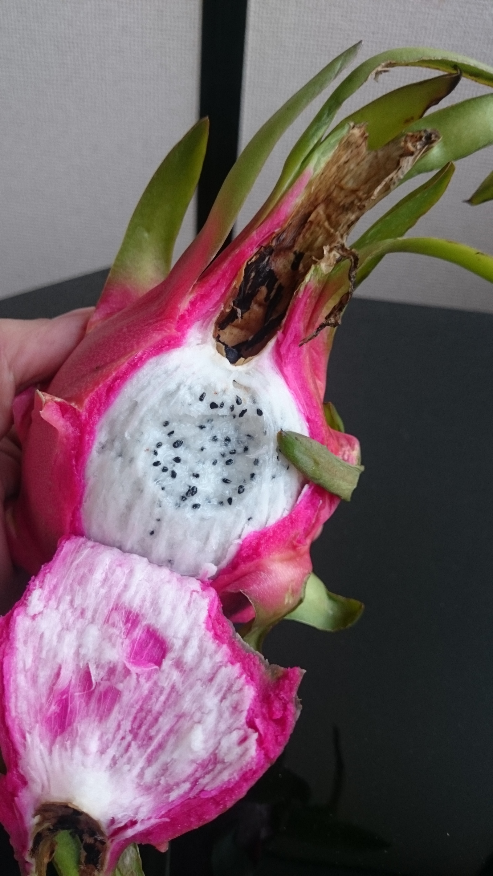 dragon fruit. - My, Pitahaya, Фрукты, Japan, Oddities, Longpost