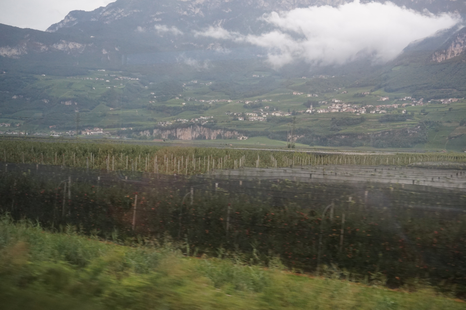 More from intensive agriculture. - My, Apples, Italy, Сельское хозяйство, Longpost