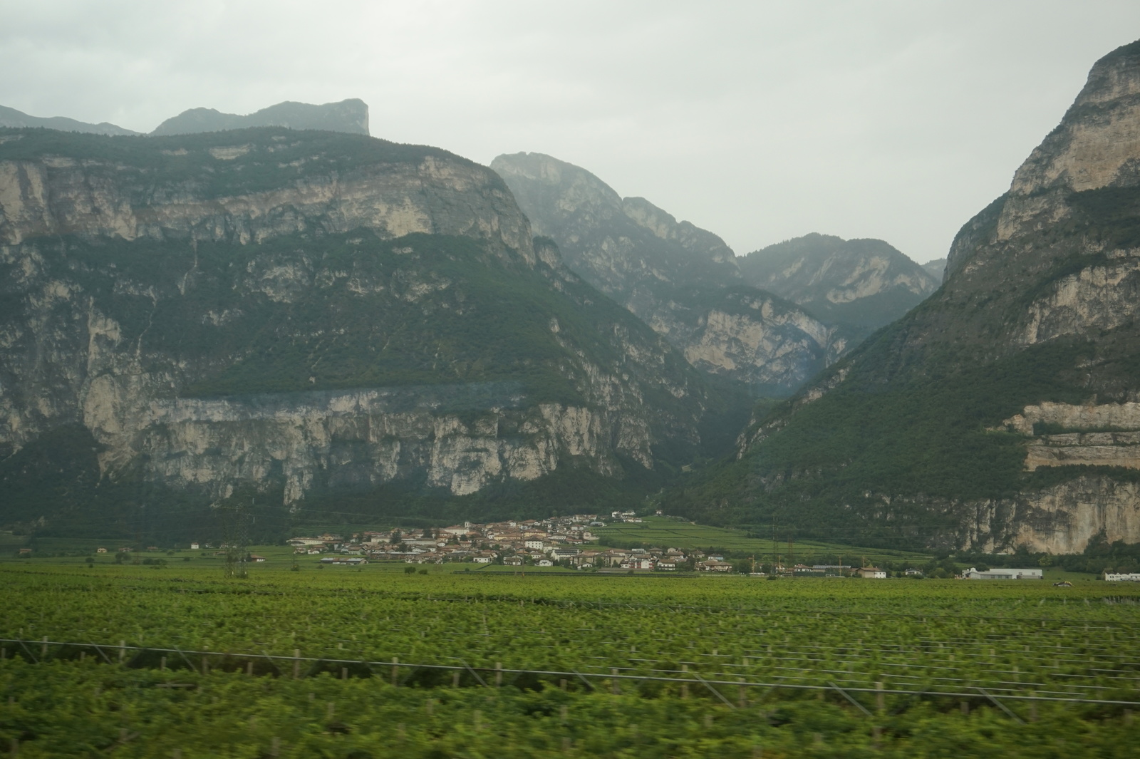 More from intensive agriculture. - My, Apples, Italy, Сельское хозяйство, Longpost