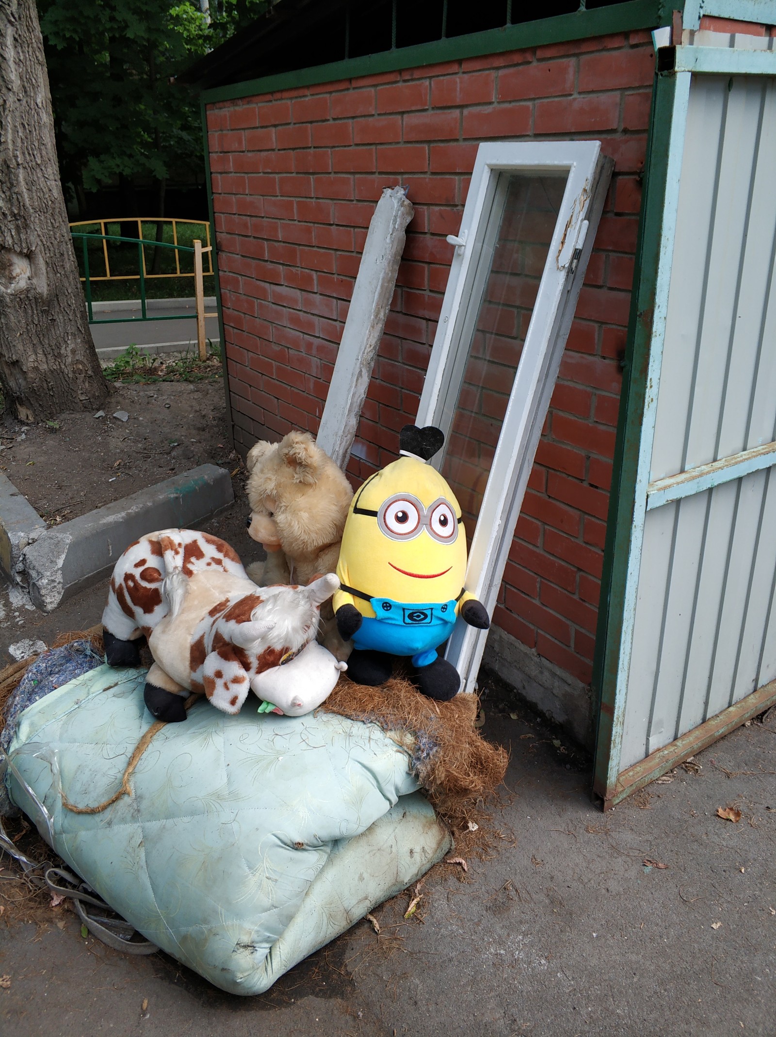 Timoshka was offended... - My, Soft toy, , Надежда, Minions, Longpost