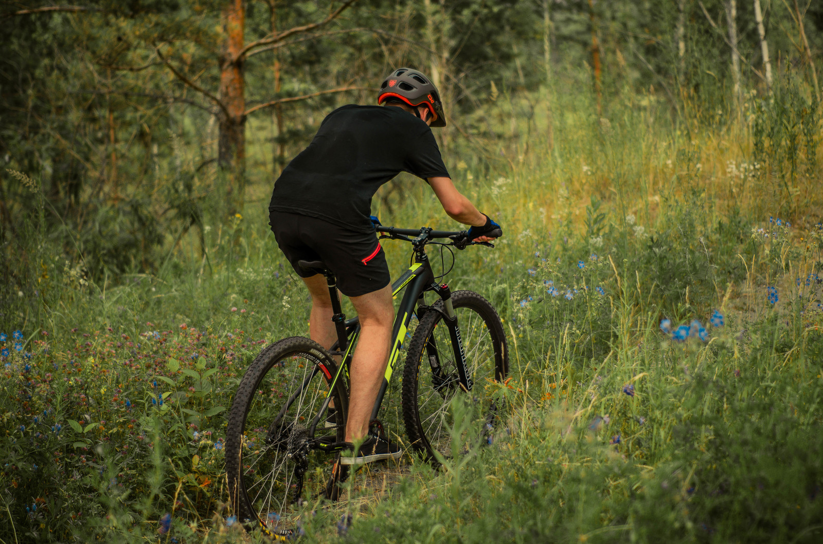 My photos from rides 15.07.2018 - My, A bike, Gt_bike, Karakoram, The photo, Longpost