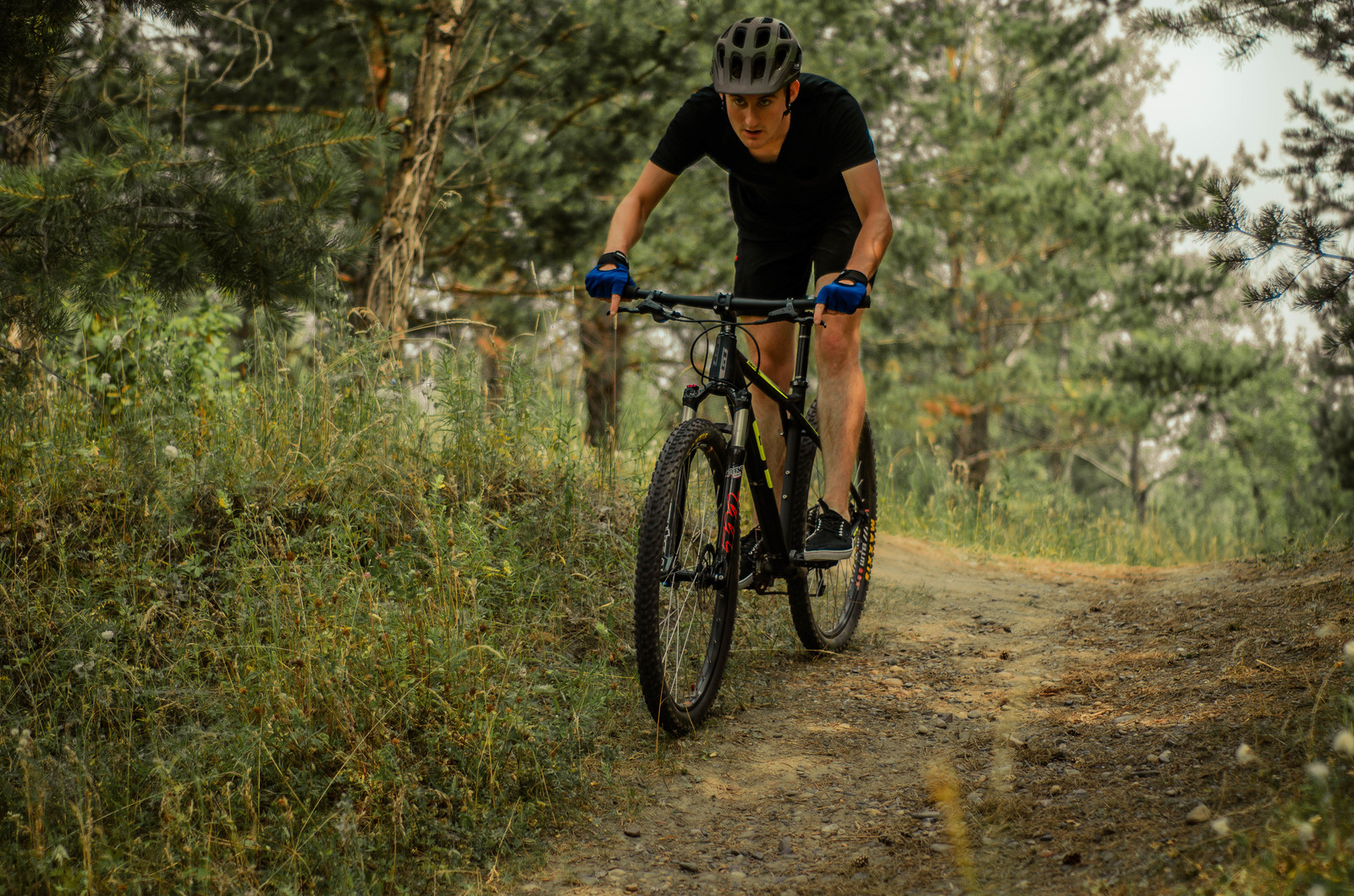 My photos from rides 15.07.2018 - My, A bike, Gt_bike, Karakoram, The photo, Longpost