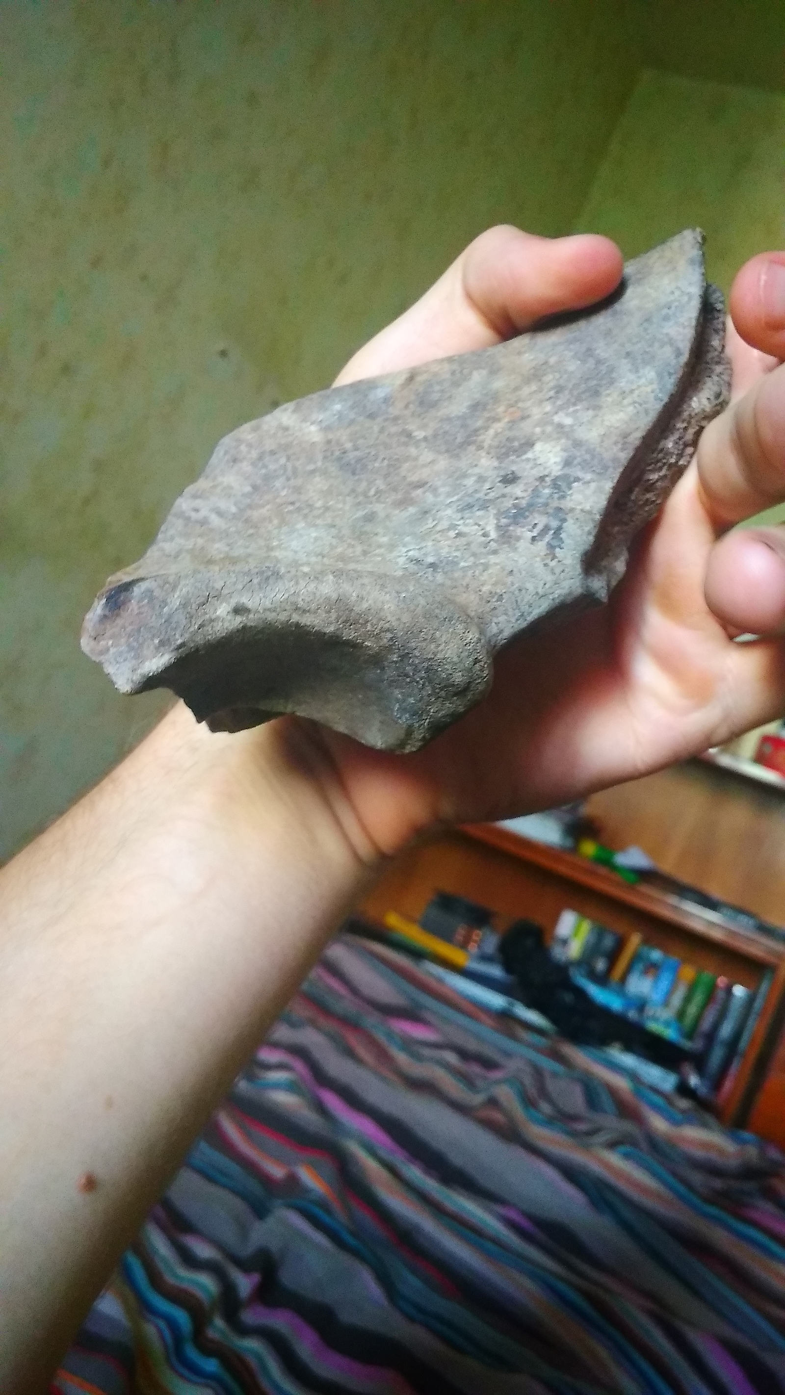 Fossilized bone found, help identify whose it is) - My, Paleontology, Fossils, Bones, Longpost