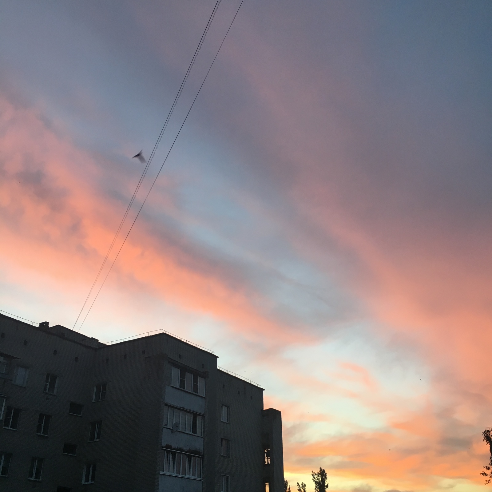 Beauties of the hometown - My, Gomel, Sunset, Homeland, Republic of Belarus, Longpost