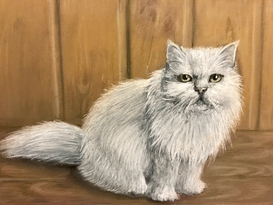 Cat (dry pastel) - My, Drawing, Pastel, Pastel pencils, cat