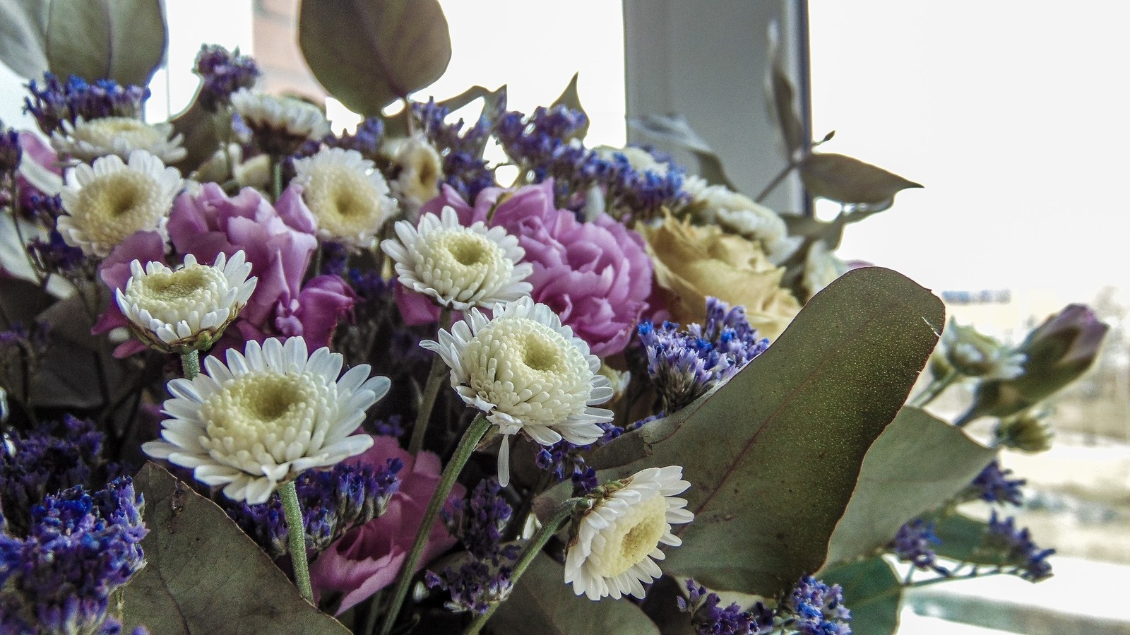 Houses - My, The photo, Interior, Flowers, Longpost