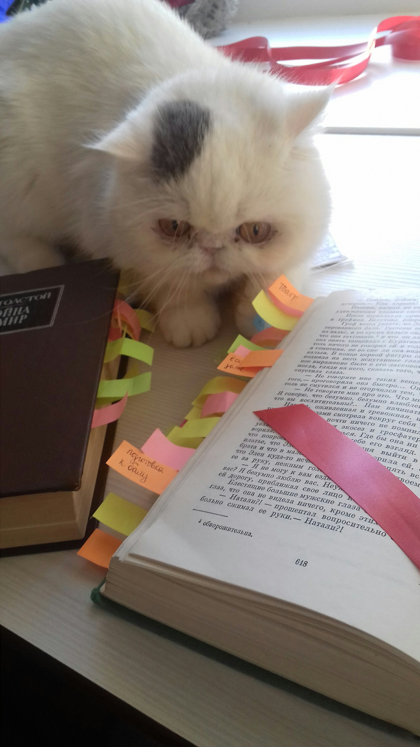 scientist cat :) - My, cat, Books