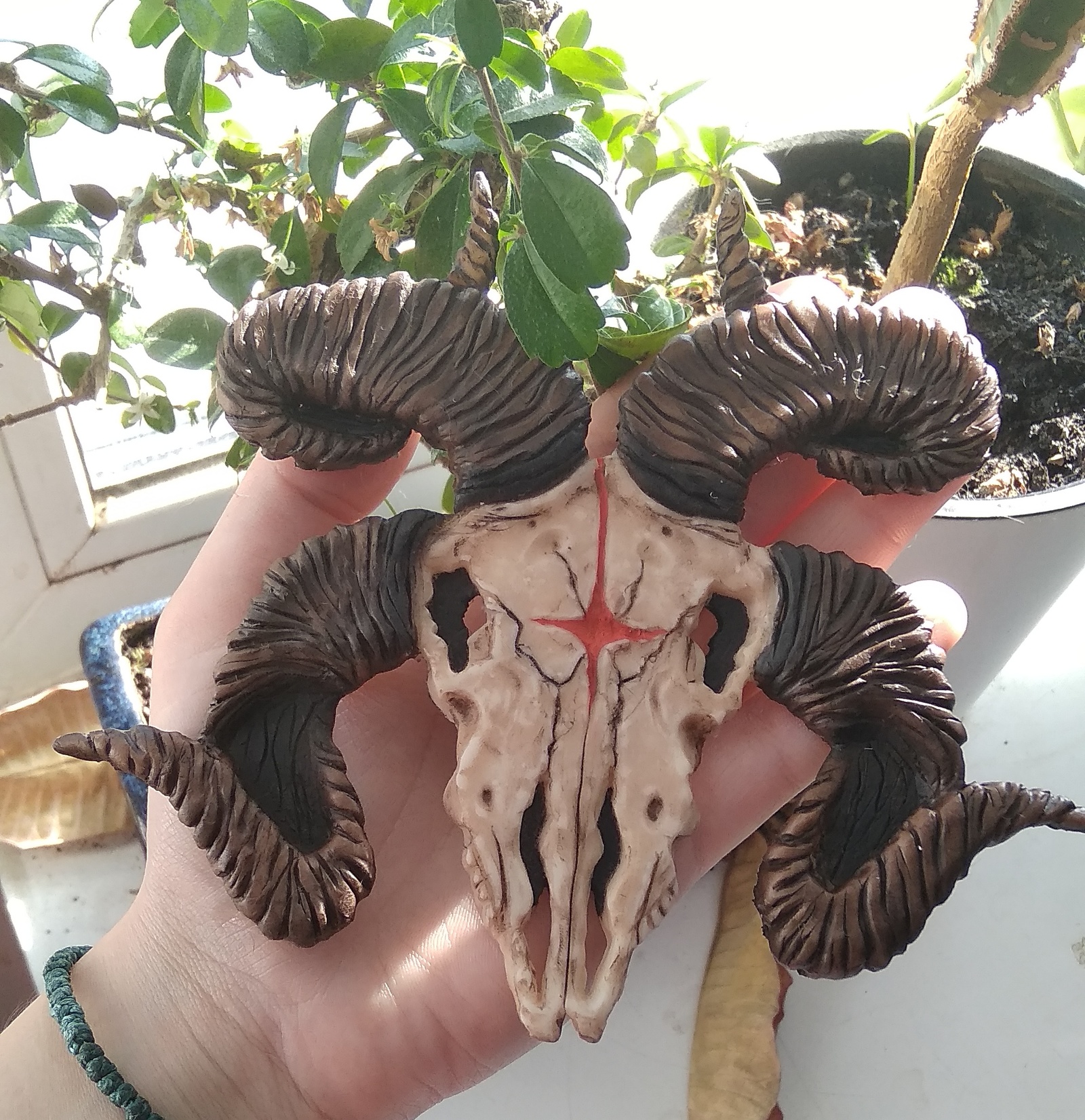 Sheep skull made of polymer clay - My, Polymer clay, Needlework with process, Scull, Rams, Handmade, Longpost