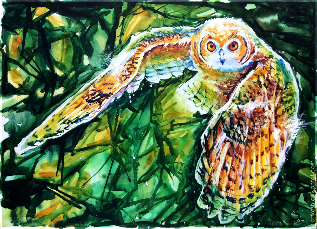 Short-eared owl in swamp color - My, Artkosh, Watercolor, Owl, Painting, Drawing, , Owl, Birds, Sketch
