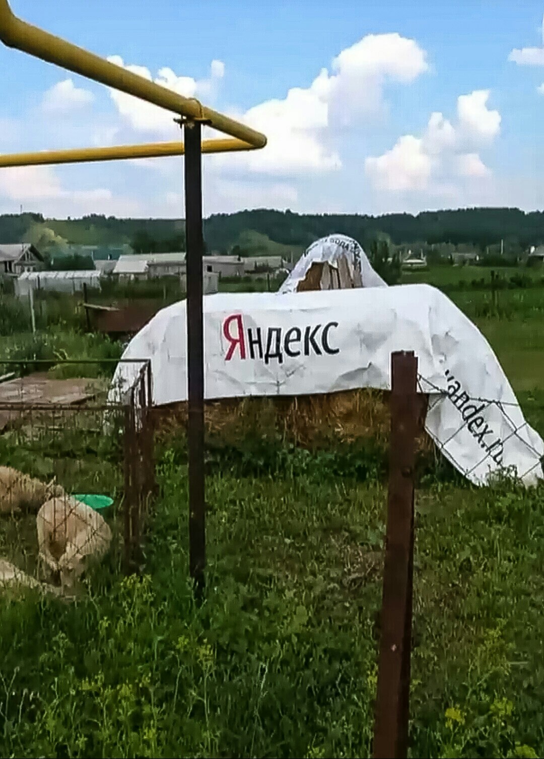 Yandex SENO.(new service) - My, Yandex., Hay, Village