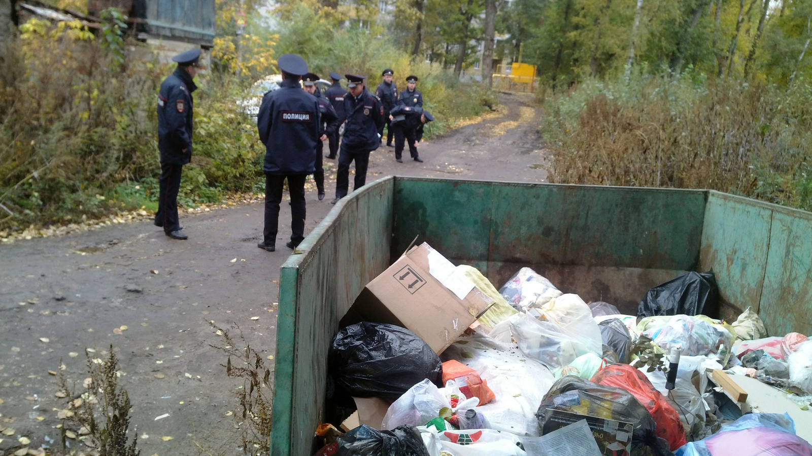 Advice is needed: how to solve the problem of overflow of garbage containers and accumulation of bulky waste at sites for the collection of solid waste? - My, Garbage, Clean city, Ecology, Dump, Courtyard, Order, Humor, Sarcasm