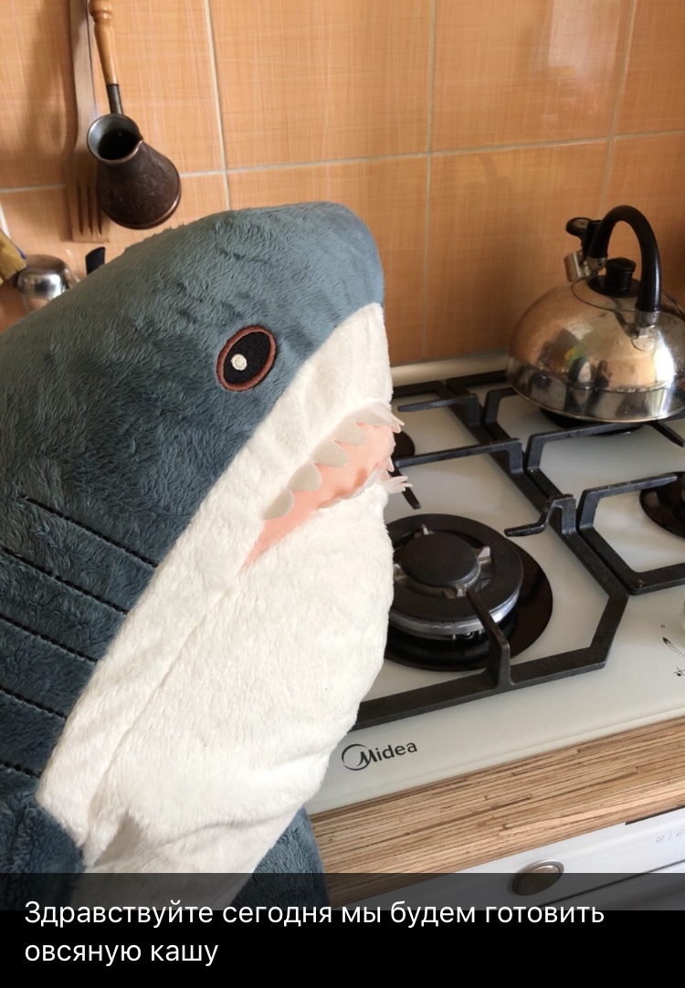 Oatmeal, sir! - My, Shark, IKEA, Recipe, Oatmeal, Longpost, Blohey