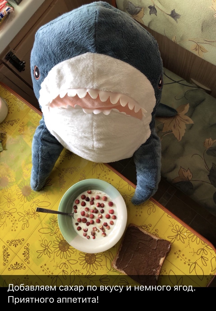 Oatmeal, sir! - My, Shark, IKEA, Recipe, Oatmeal, Longpost, Blohey