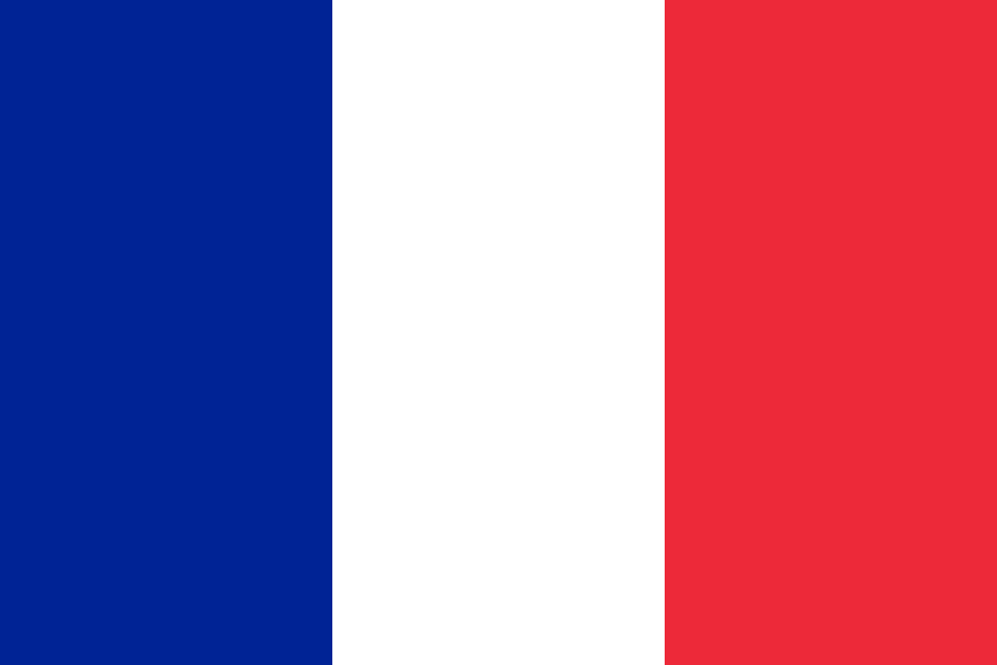 Winning tricolor championship - My, Tricolor, Flag, Color, Football, 2018 FIFA World Cup, France, Russia, Croatia, Longpost