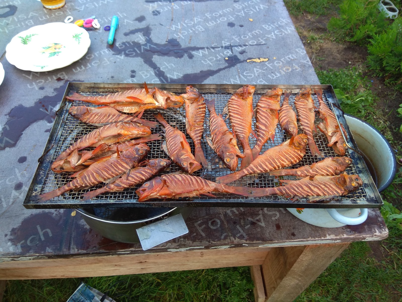 Fishing was a success, smoked perch is awesome =) - My, Cooking, Hot smoking, Bloater, Longpost