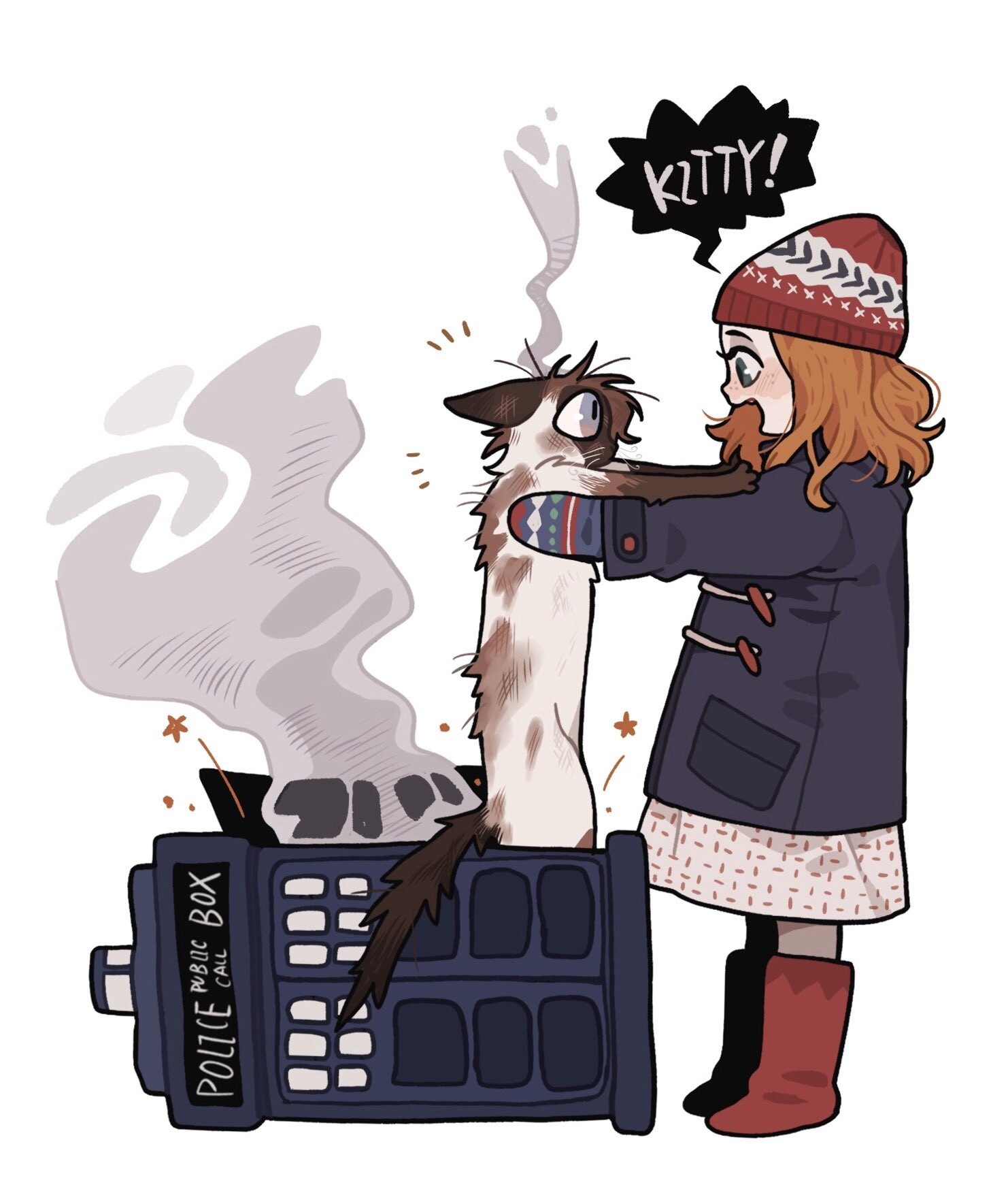 Doctor Cat - Doctor Who, cat, Juanmao, Longpost