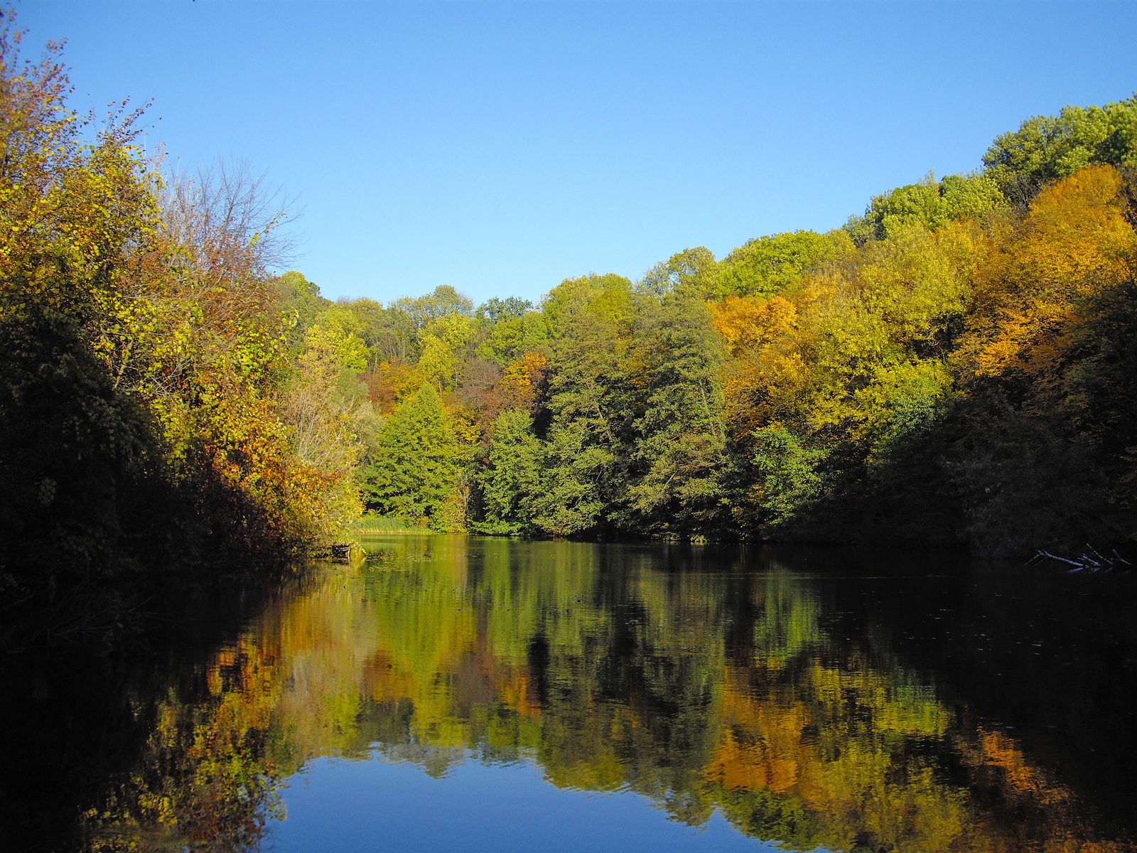 I want autumn - My, Autumn, The park, , Kiev