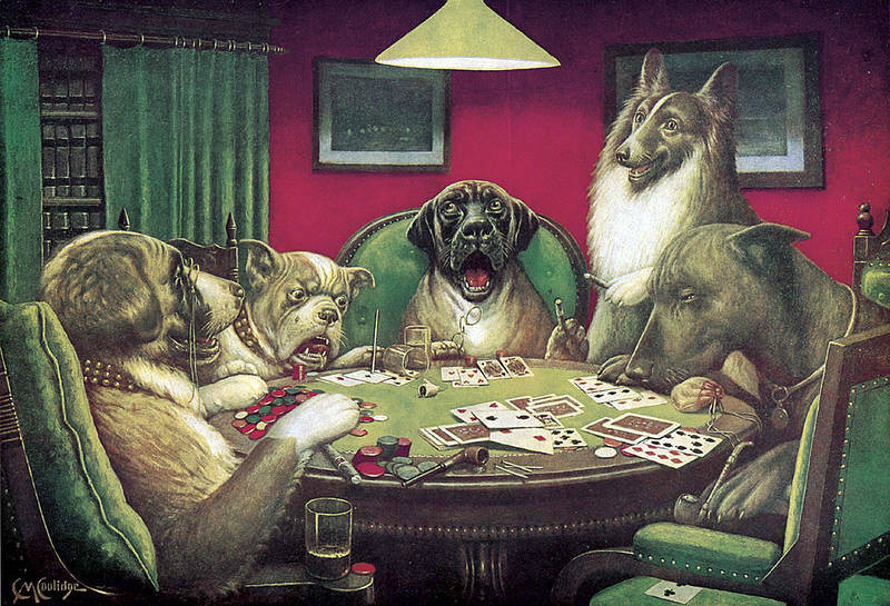 Животные играют в карты на jack houghton betfair