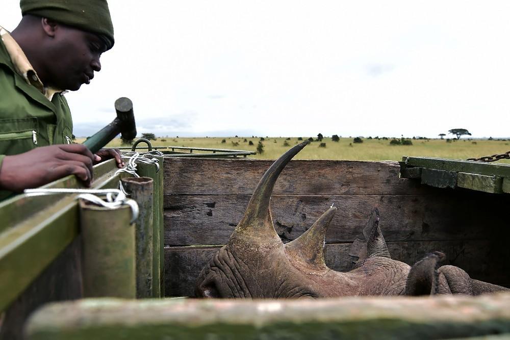 Africa through the eyes of photojournalists - Africa, The photo, Press photographer, Longpost