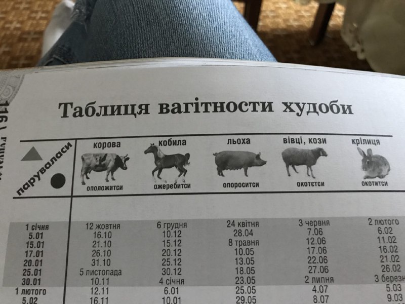 Just a livestock pregnancy table - My, Ukrainian language, table