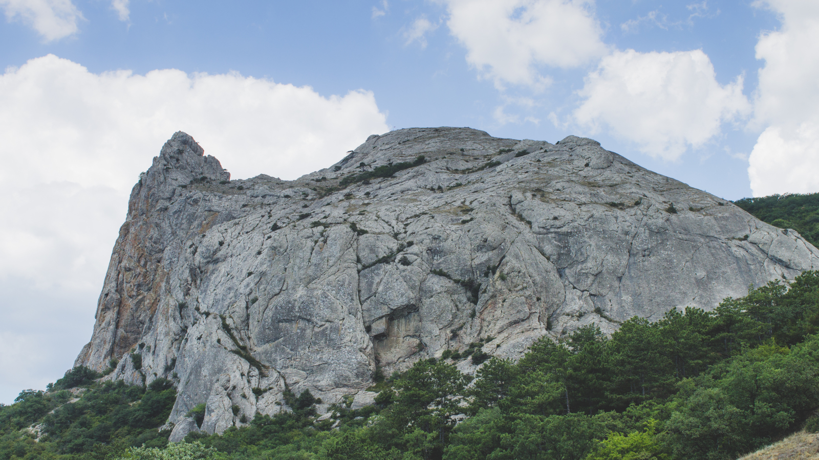 A short and fascinating journey through the Crimean Republic. - My, The photo, Canon, Crimea, Nature, Animals, The mountains, Beginning photographer, Longpost