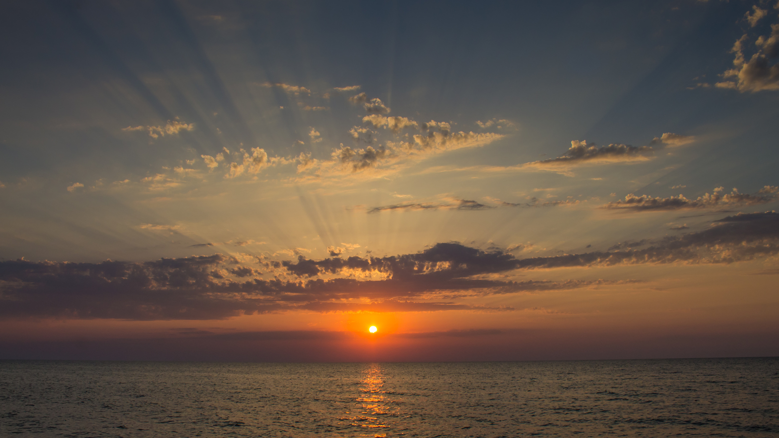 A short and fascinating journey through the Crimean Republic. - My, The photo, Canon, Crimea, Nature, Animals, The mountains, Beginning photographer, Longpost