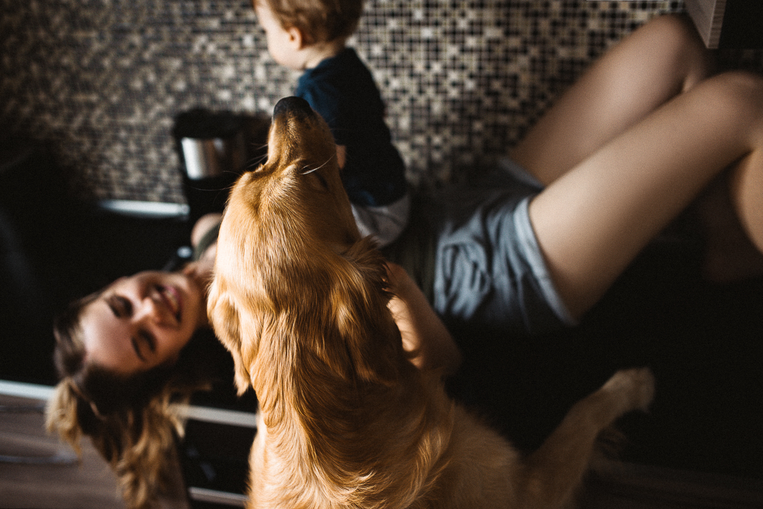 When the house is always warm and cozy. - My, My, The photo, Family photo, Golden retriever, Family, Photographer, PHOTOSESSION, Longpost