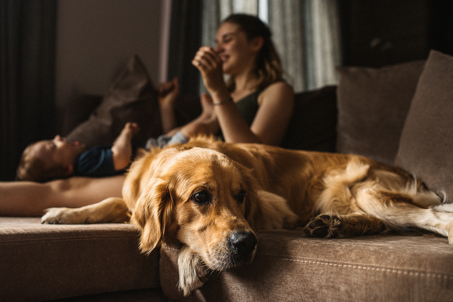 When the house is always warm and cozy. - My, My, The photo, Family photo, Golden retriever, Family, Photographer, PHOTOSESSION, Longpost