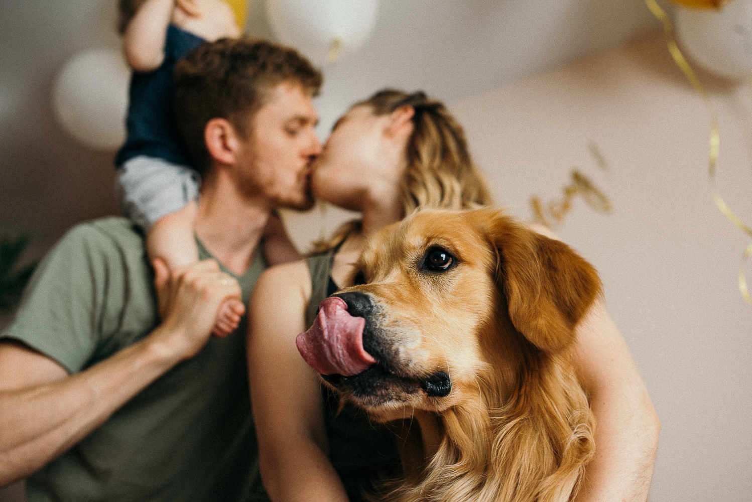 When the house is always warm and cozy. - My, My, The photo, Family photo, Golden retriever, Family, Photographer, PHOTOSESSION, Longpost