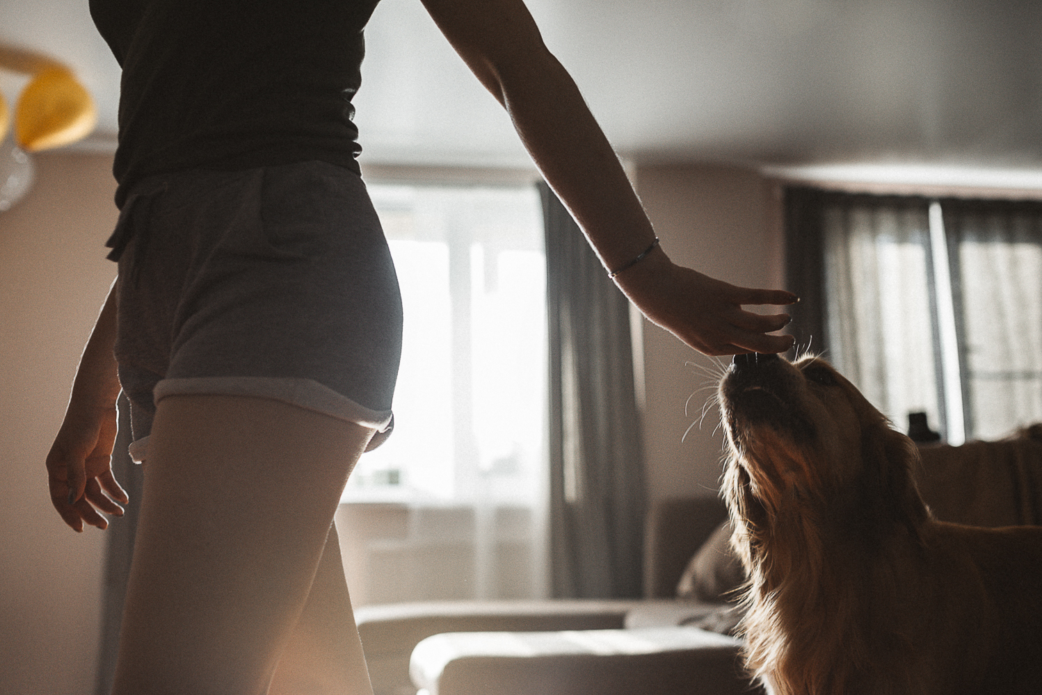 When the house is always warm and cozy. - My, My, The photo, Family photo, Golden retriever, Family, Photographer, PHOTOSESSION, Longpost