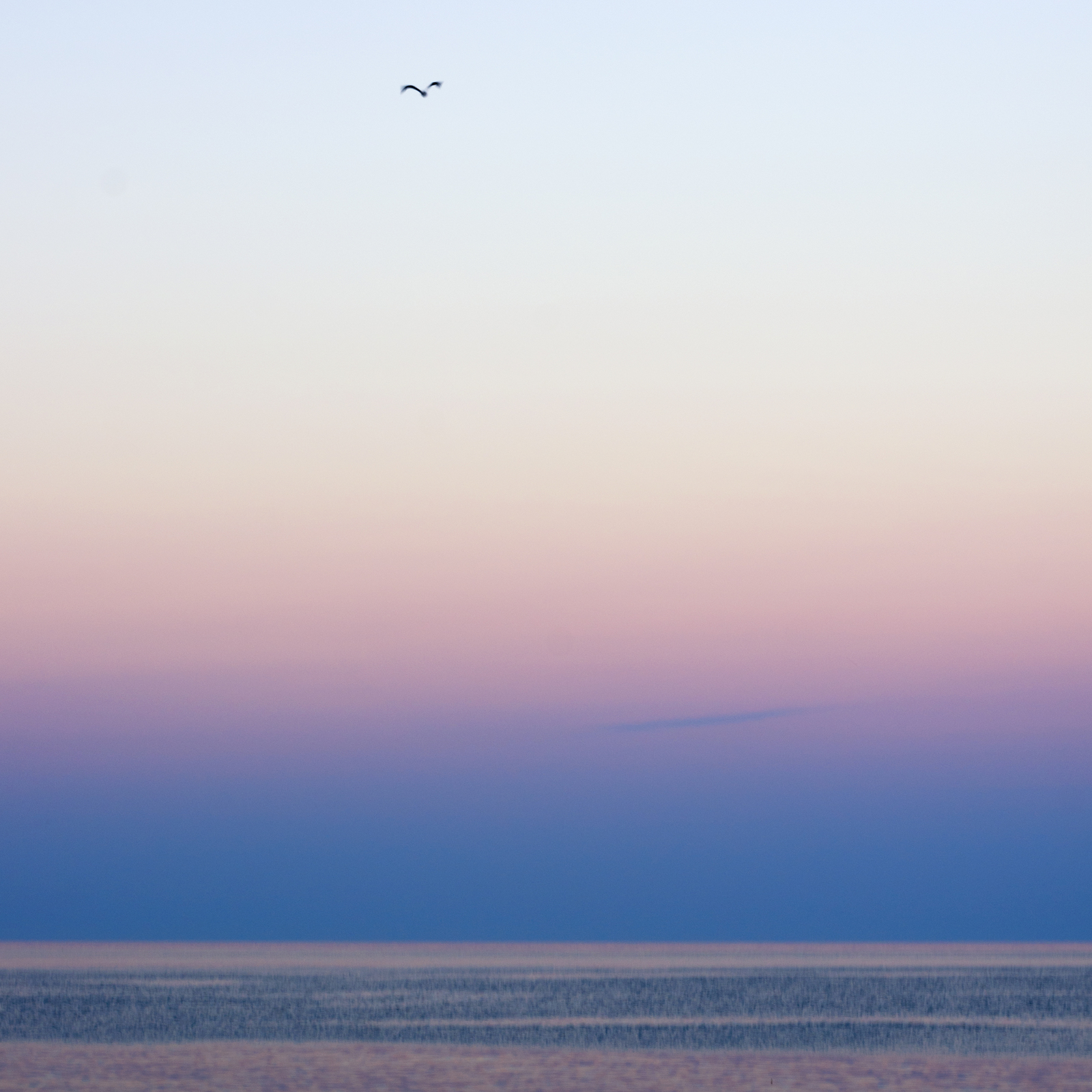 Galloping across the Crimea, or seven days of this summer - My, Crimea, Travel across Russia, Vacation, Black Sea, Sea, Russia, The photo, Pentax, Longpost