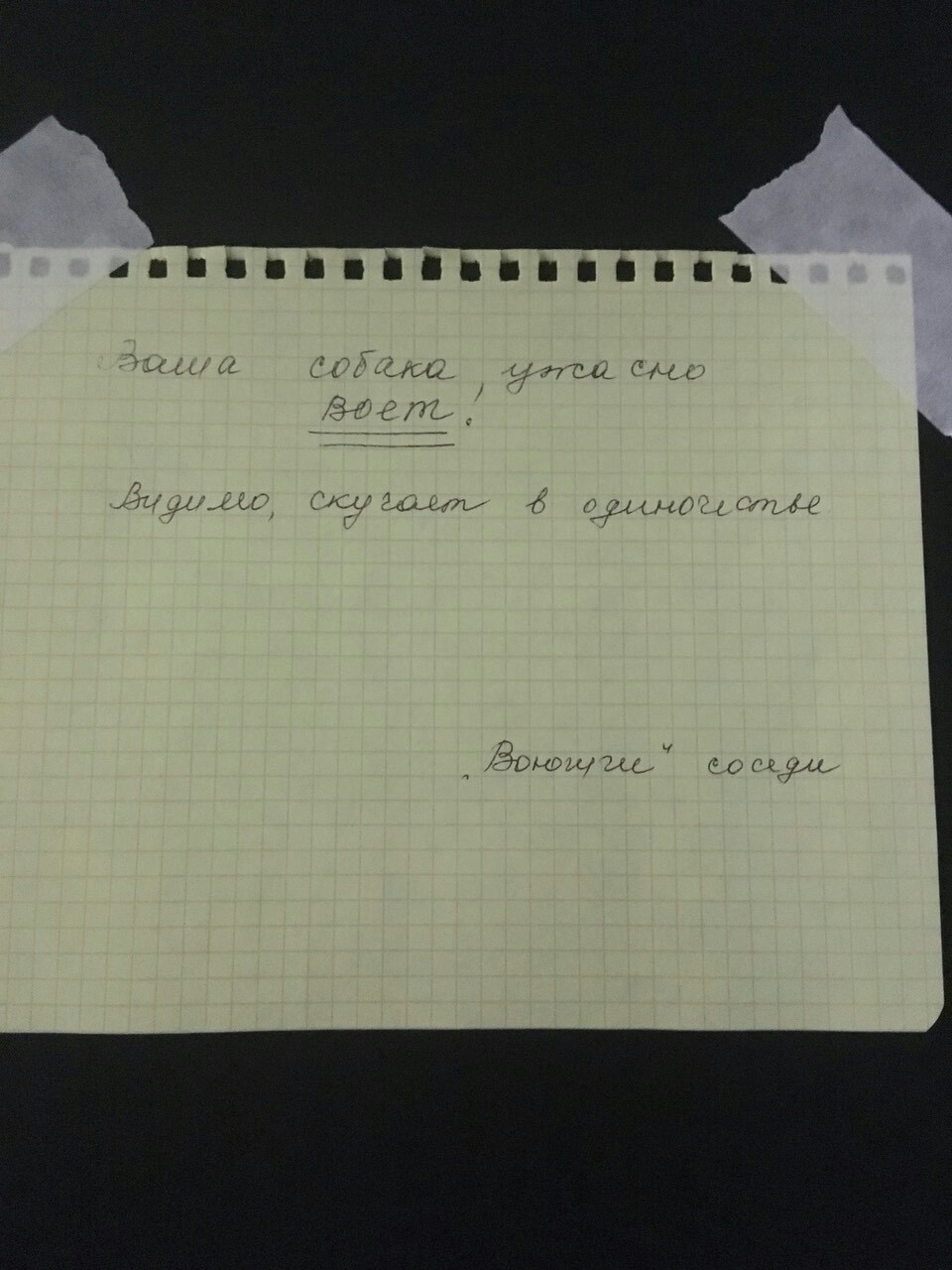 Кто воет? | Пикабу