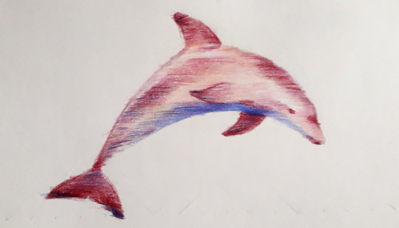 Рисуем дельфина губкой