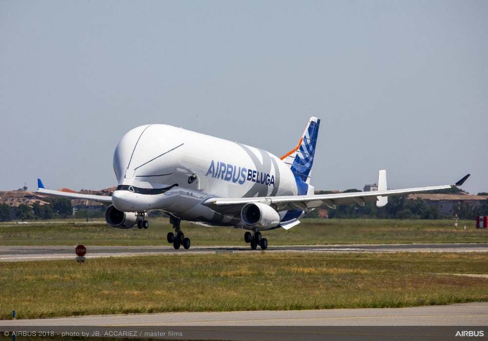 Я кажется знаю кто дизайнер морды нового Airbus Beluga - Airbus, Мемы, Сходство