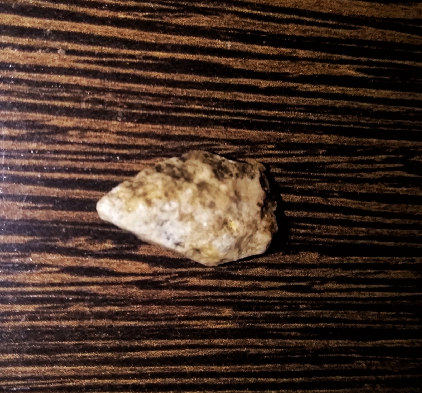 Found - My, Find, A rock, What's this?, Longpost, Fossils