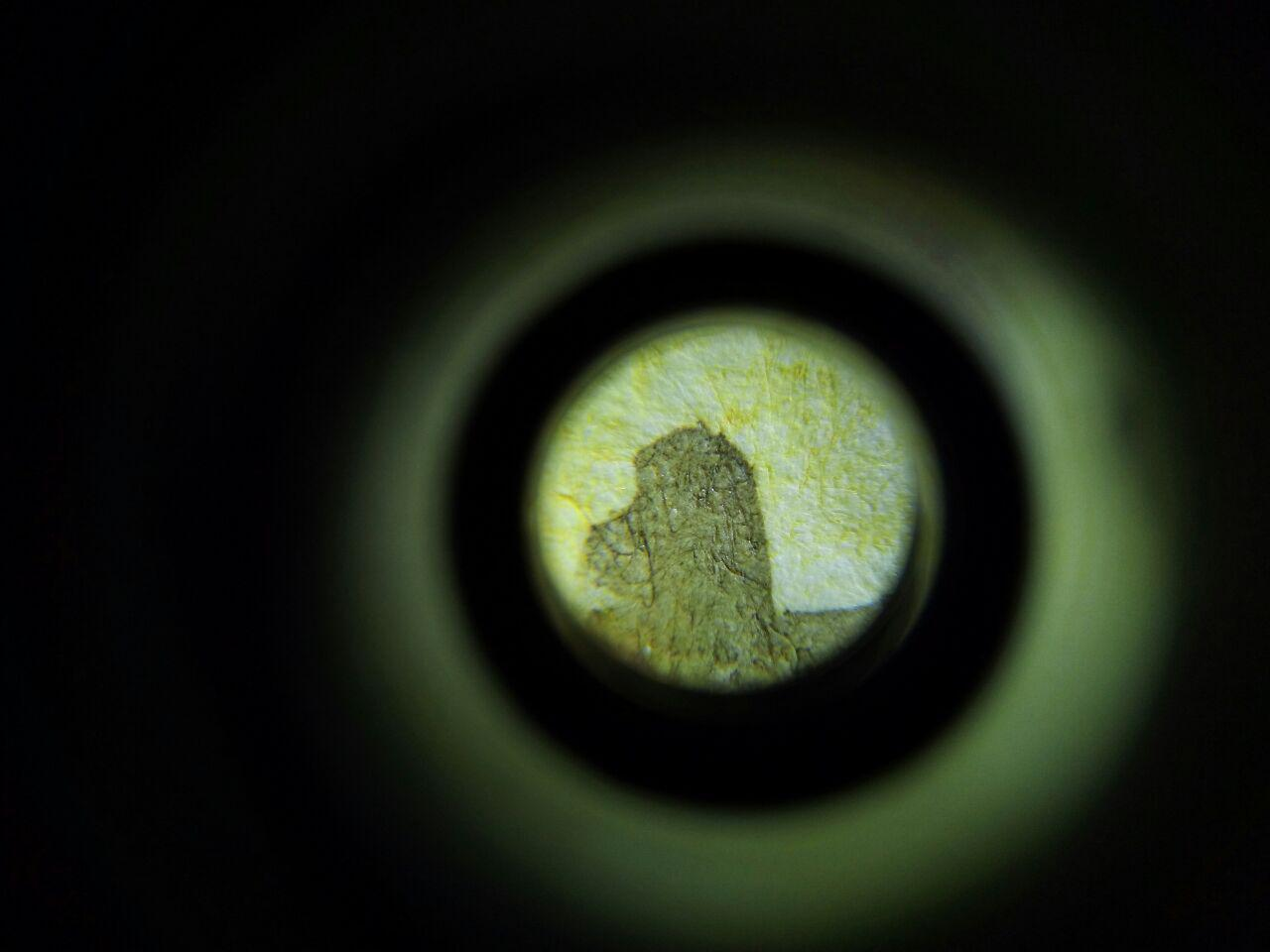 Photos taken through a pocket microscope - My, Microscope, Microfilming, Longpost, The photo