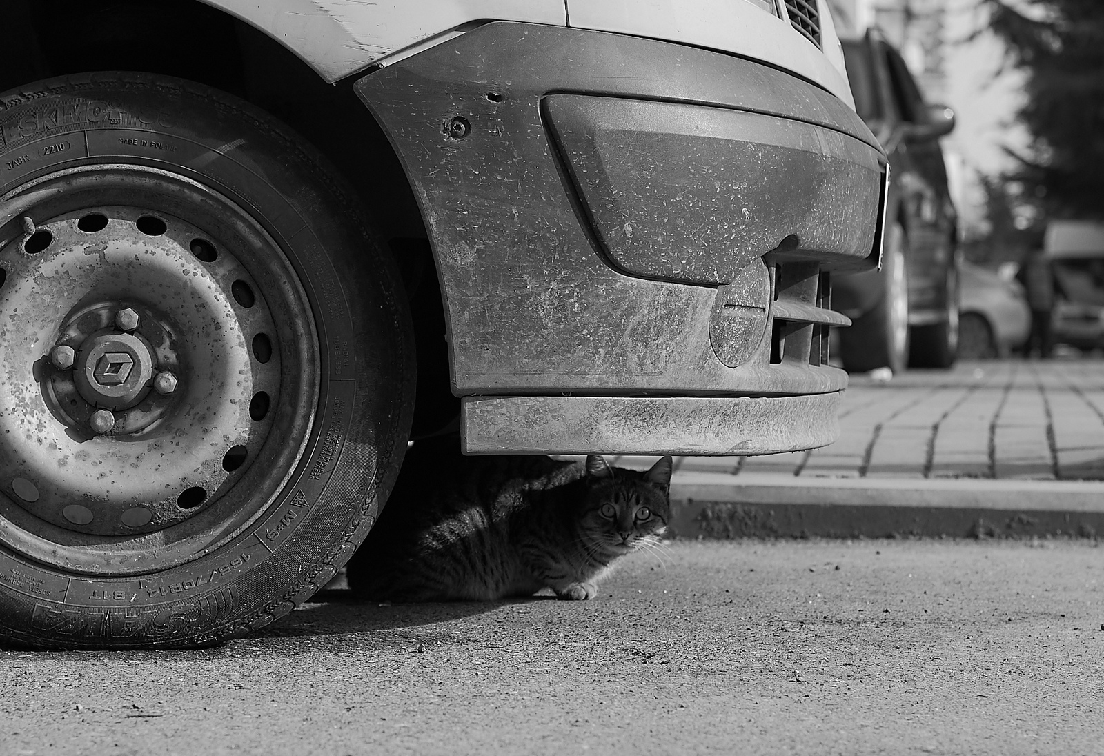 My photos from training to be a cinematographer. - My, The photo, Cameraman, Studies, Tbilisi, Yekaterinburg, Landscape, Reportage, Longpost