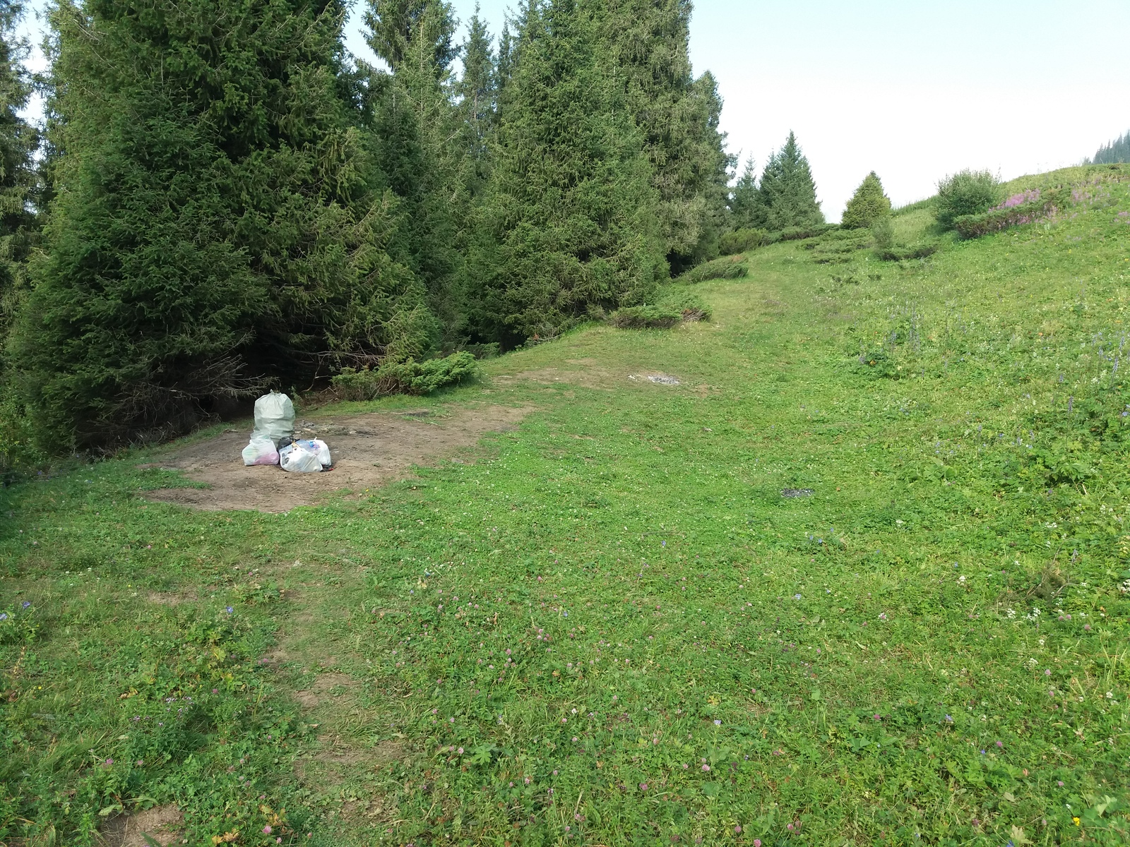 Chistomeny from Almaty - My, Garbage, Leisure, Chistoman, Kok-Zhailau, Almaty, Kazakhstan, Nature, Longpost