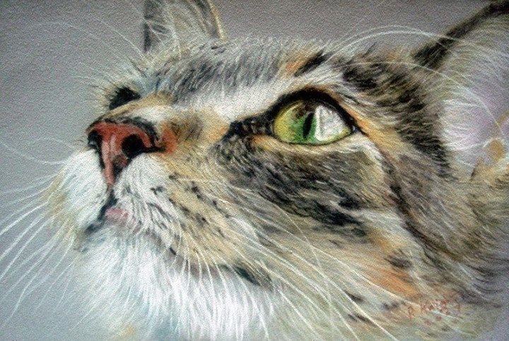 Adorable cats by English artist Paul Knight - cat, Painting, Fluffy, Milota, Longpost