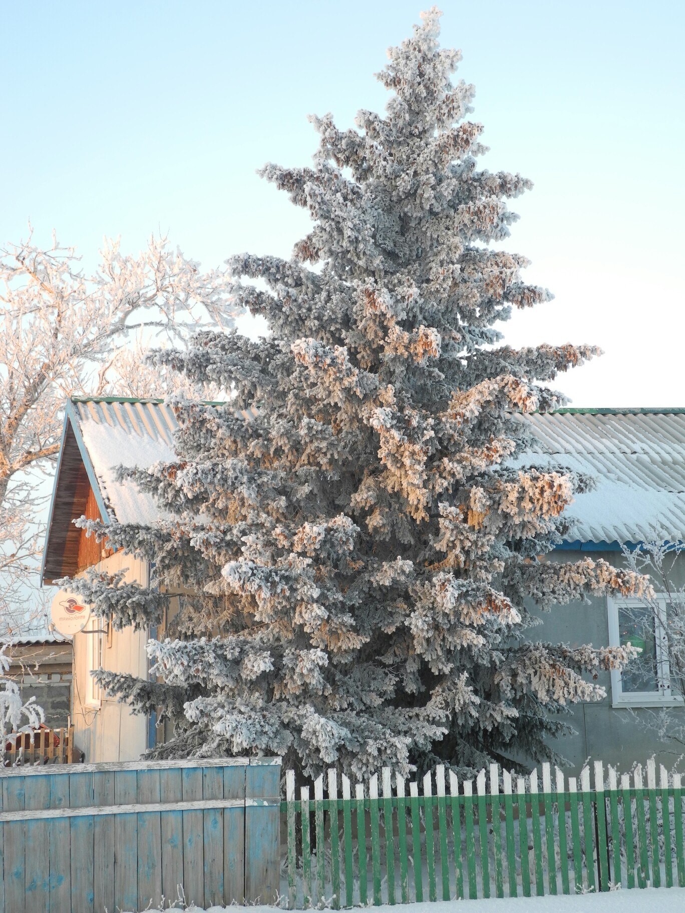 Winter in Siberia - My, Winter, Siberia, Snow, freezing, Holidays, My, Longpost