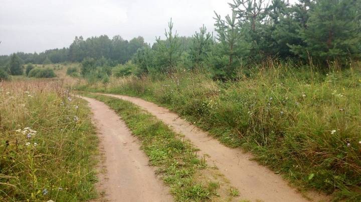 Near Myadel, a man was tied to a car and dragged through the forest to give back the “stolen” 50 rubles - Republic of Belarus, 90th, State of emergency, Bandits, The crime