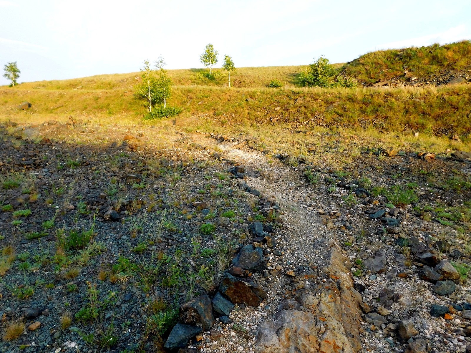 Arkaim and its nature. - My, Arkaim, Nature, The photo, Longpost, Southern Urals