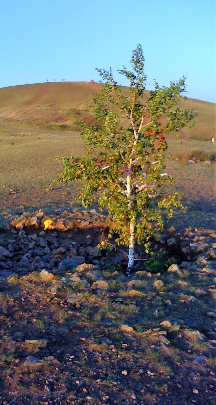 Arkaim and its nature. - My, Arkaim, Nature, The photo, Longpost, Southern Urals