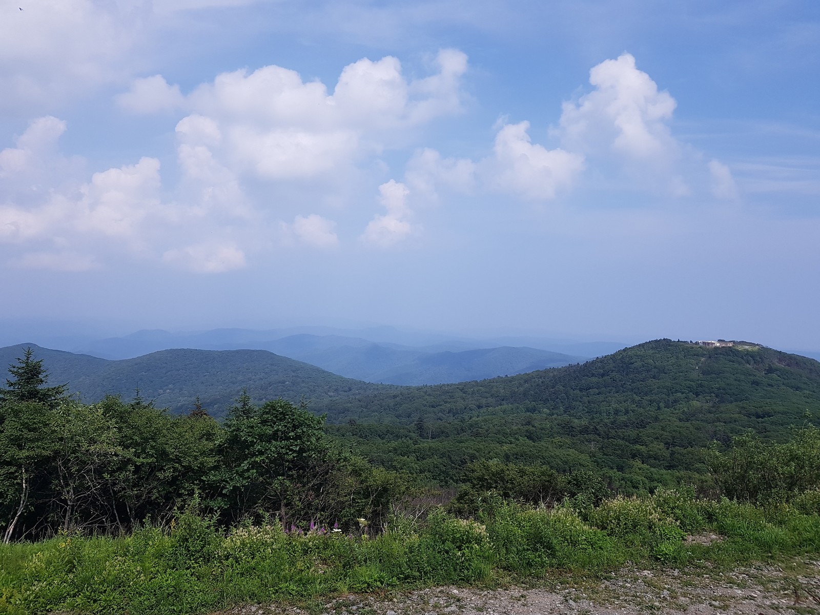 Black Bush, Primorsky Territory - My, The mountains, Primorsky Krai, Summer, My life, Longpost