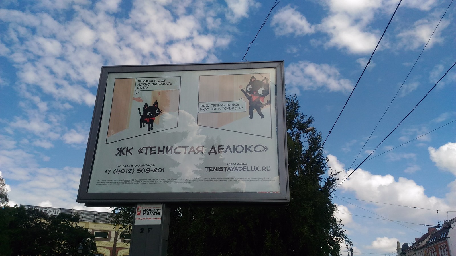 The Adventures of a Russian Gambler - cat, Advertising, Kaliningrad, Gamecat