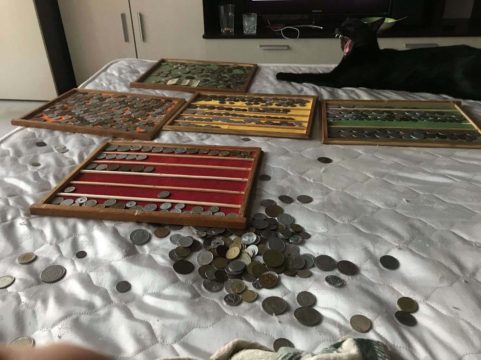 Numismatics - My, Help, My, Numismatics, Longpost